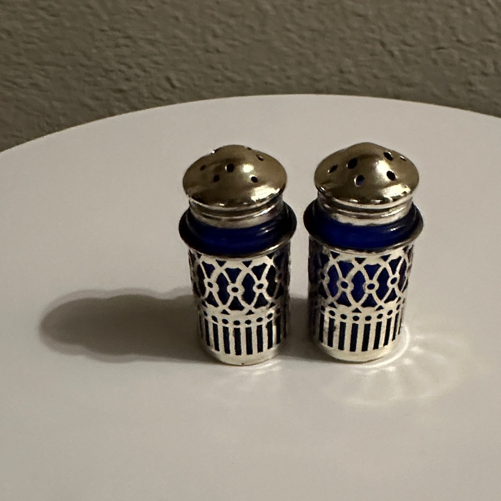 Elegant Glass and Metal Colbalt Blue and Silver Salt and Pepper Shakers